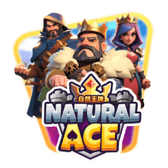 Natural Ace game icon